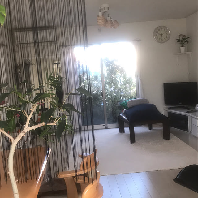 観葉植物/部屋全体のインテリア実例 - 2021-02-03 10:48:48