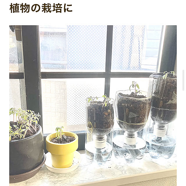 MOMOMAMAさんの部屋