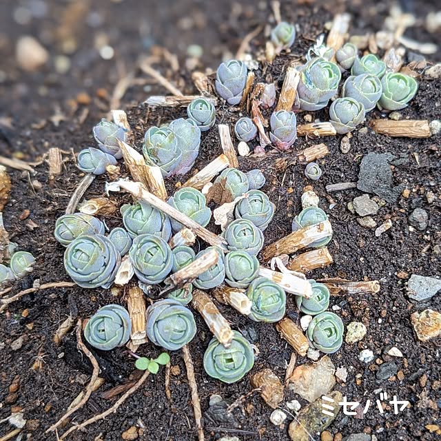 junさんの部屋