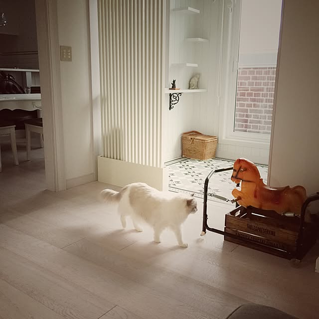 yuchiさんの実例写真