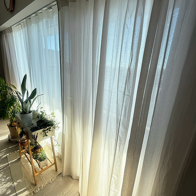 kokedamaさんの部屋