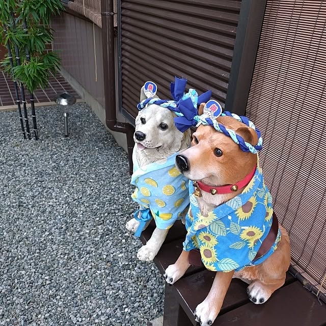 NOAHさんの実例写真