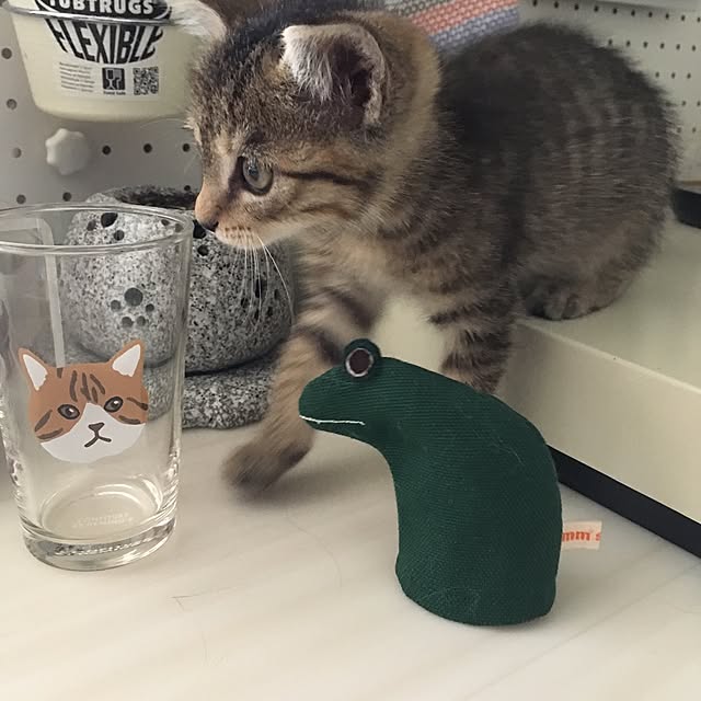 mikomaruさんの実例写真