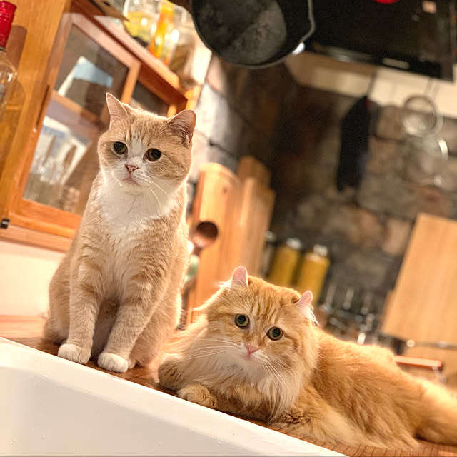 maruさんの実例写真