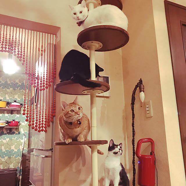 miさんの実例写真