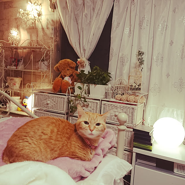 asuminさんの実例写真
