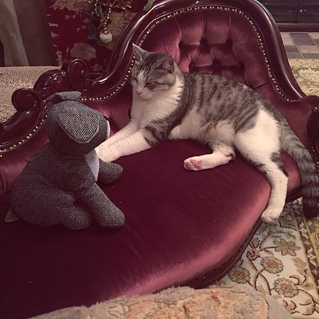 emmyyさんの実例写真