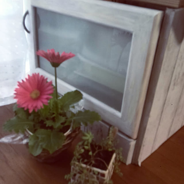 T.Sさんの実例写真