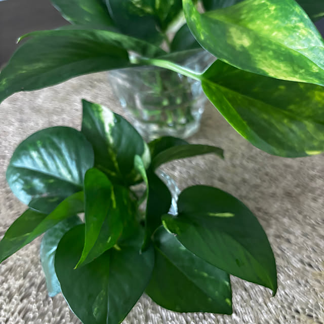 mska1114さんの部屋