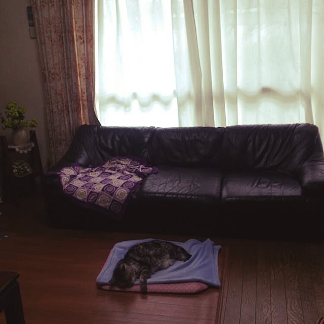 showさんの実例写真