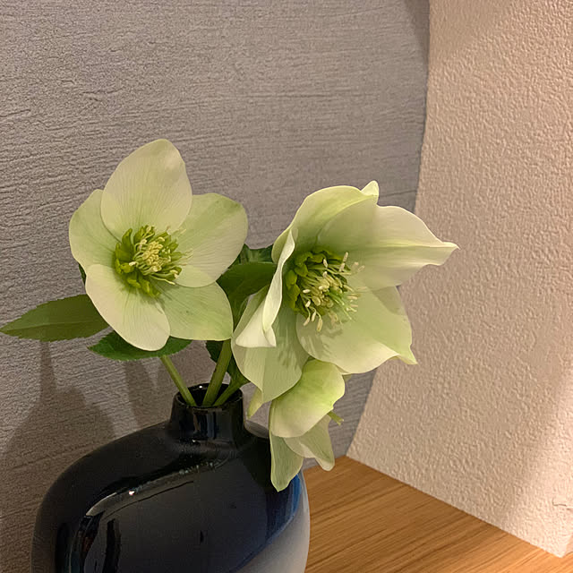 h_home.hさんの部屋