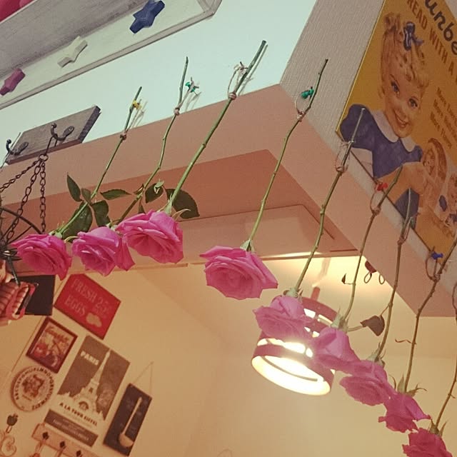 Ryokoさんの実例写真