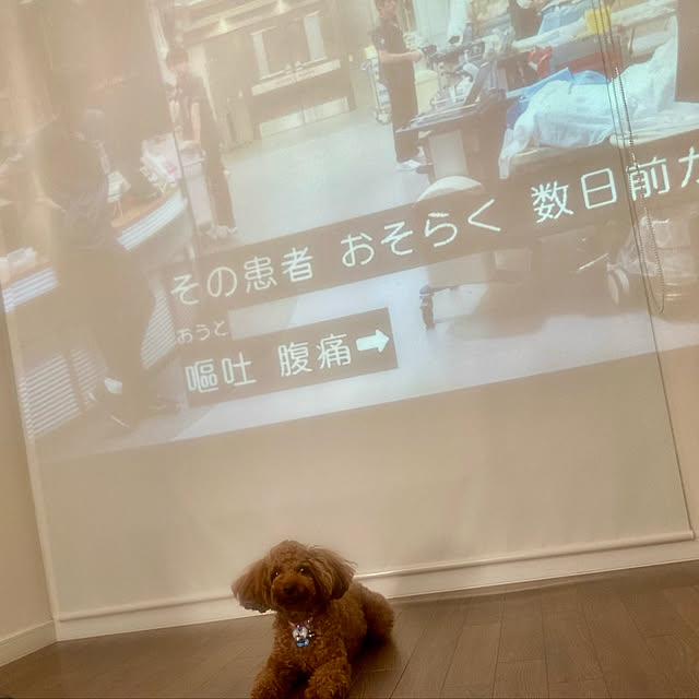 MOMOMAMAさんの実例写真