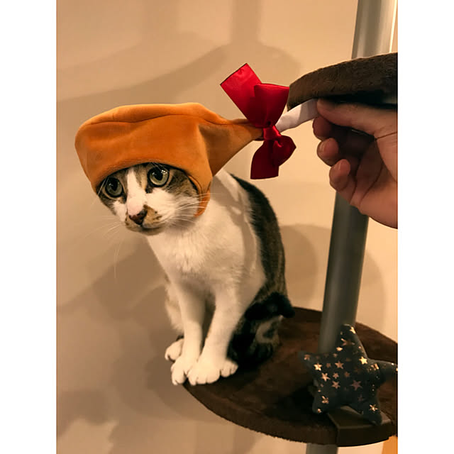nsugi0710さんの実例写真