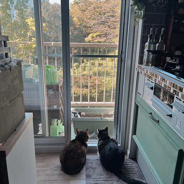 sumoanzuさんの実例写真