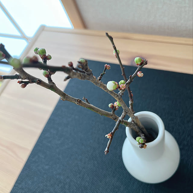 chiiさんの実例写真