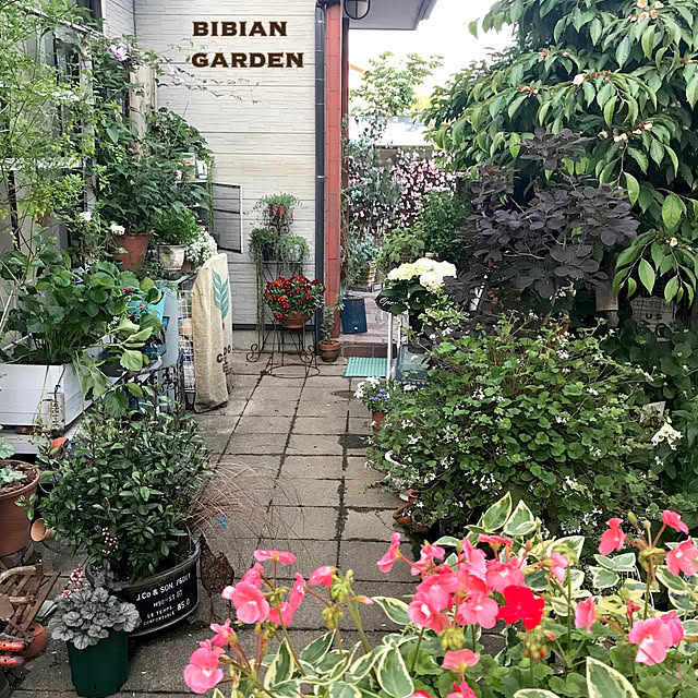 bibianさんの実例写真