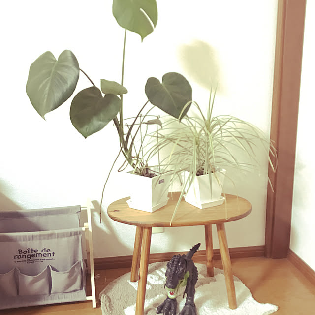 yumiさんの実例写真