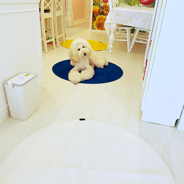 nackeyさんの部屋