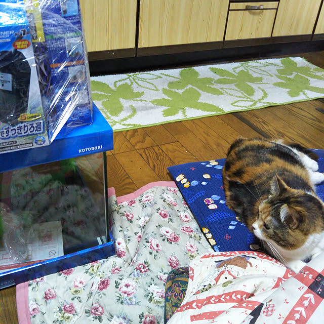 yukieさんの実例写真