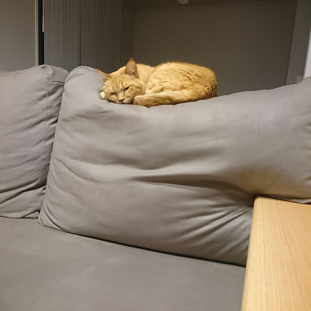 hanacocoさんの実例写真