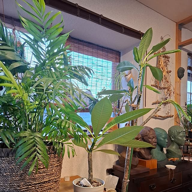 midoriさんの部屋