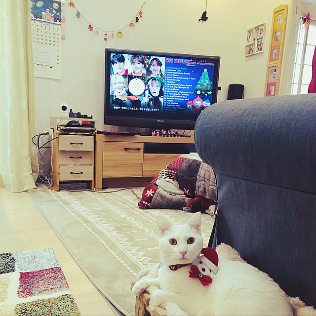 moyuhiさんの実例写真