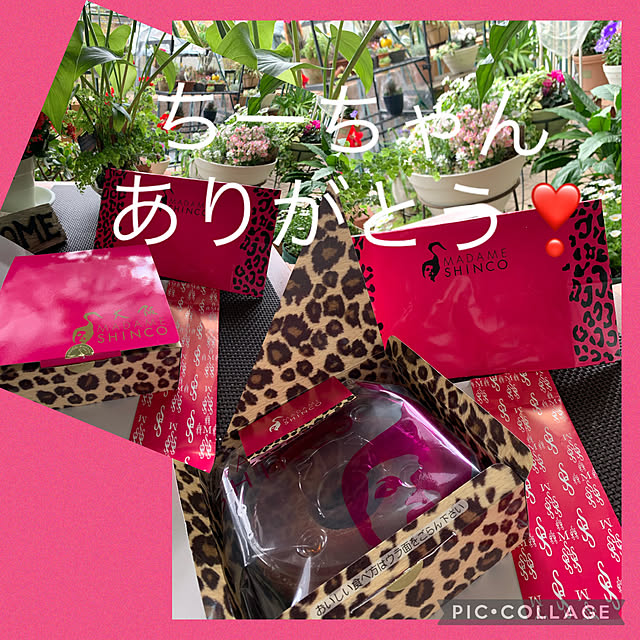 Aqettyさんの実例写真