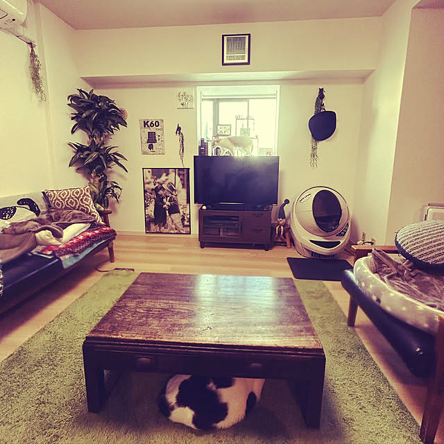 noguchiken0102さんの実例写真