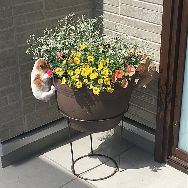 noriさんの実例写真