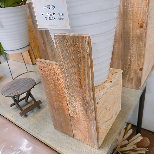 tsucchie60jさんの部屋