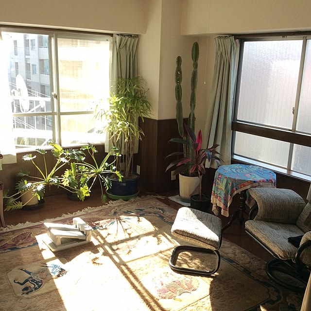 実例写真