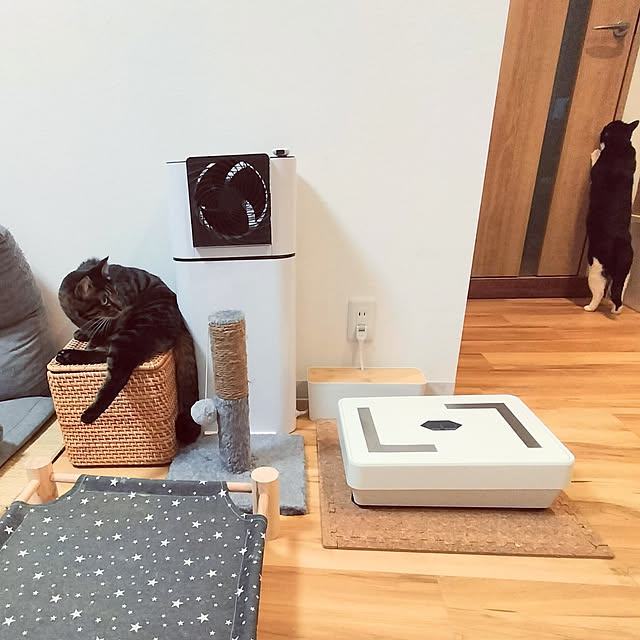 hihaさんの実例写真