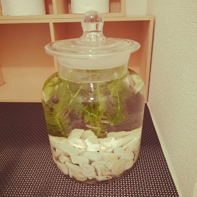 knm99さんの実例写真