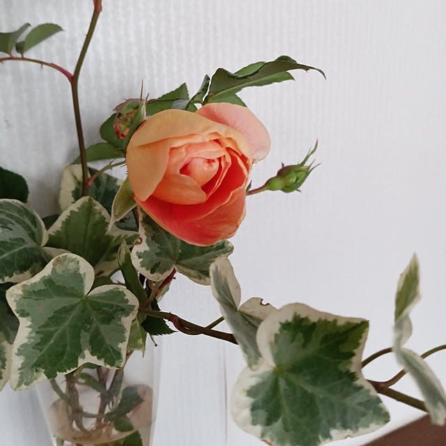 sa.yさんの実例写真