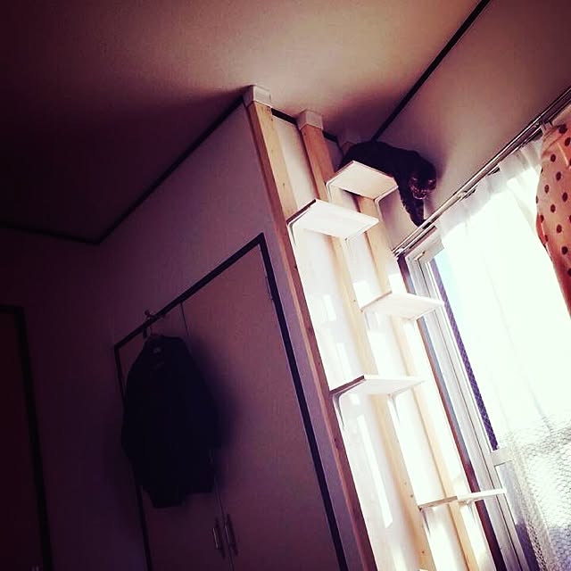gary1096さんの実例写真