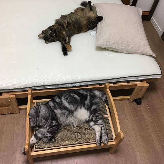 mikomaruさんの実例写真