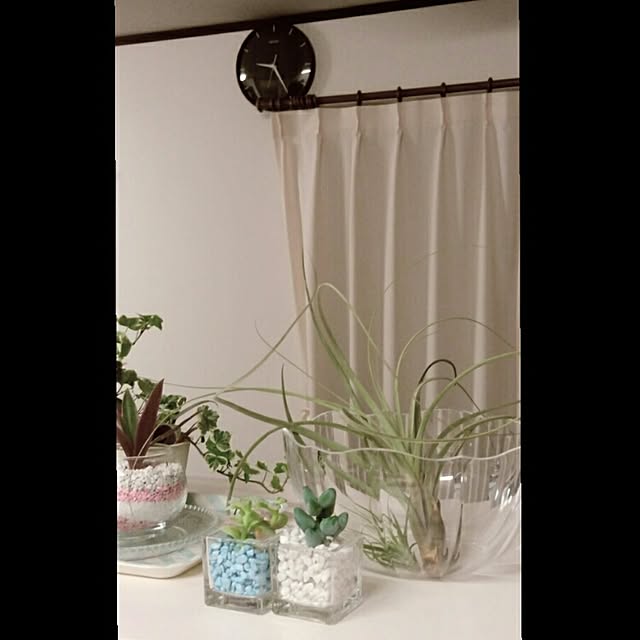 yukkin29さんの実例写真