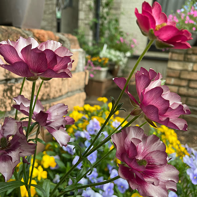 natsumiさんの部屋