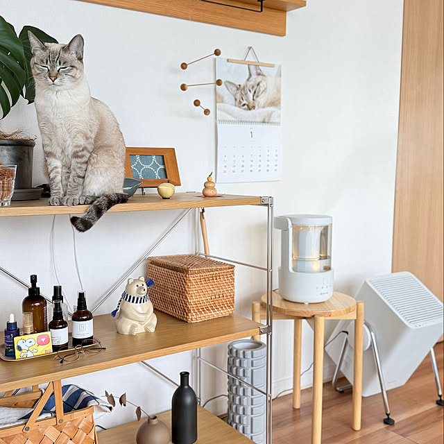 amさんの実例写真