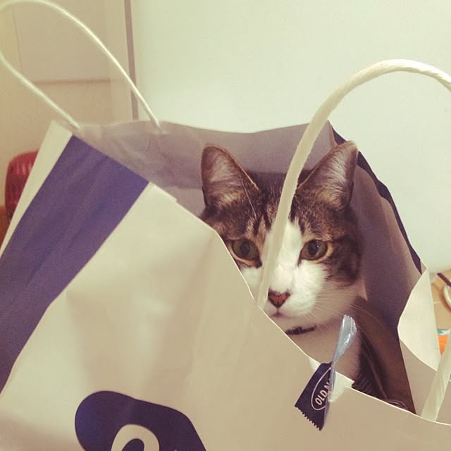marieさんの実例写真