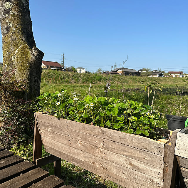 shiratamaさんの部屋