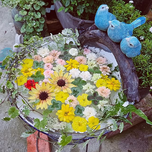 mocomocoさんの実例写真