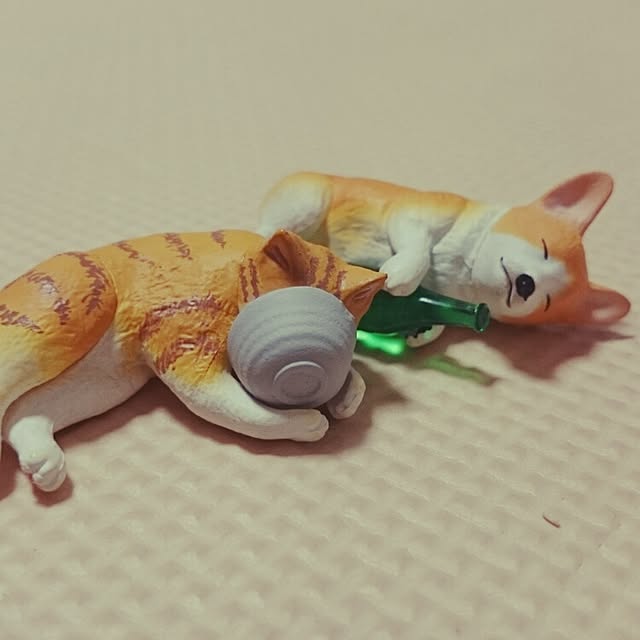kiraさんの実例写真
