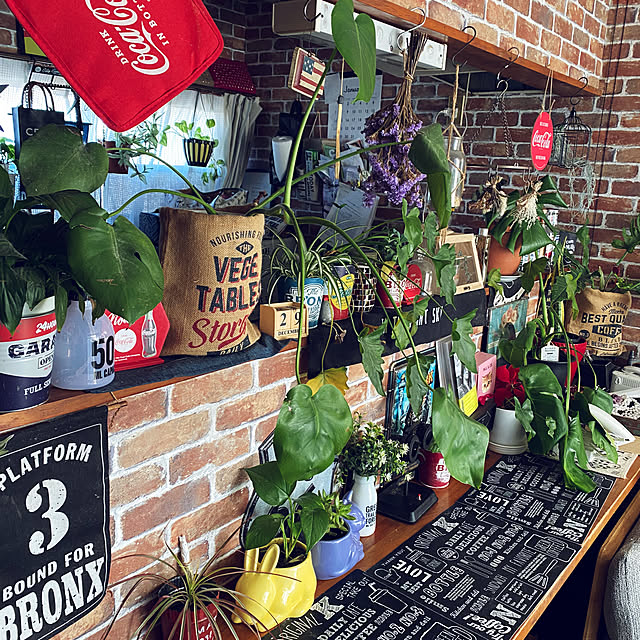 キッチン/観葉植物/ダイソー/照明/雑貨...などのインテリア実例 - 2024-01-30 14:24:28