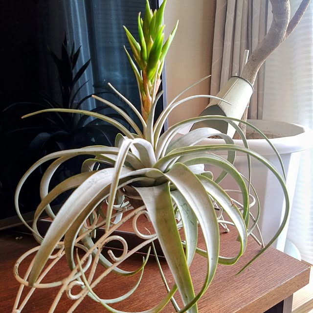 kerochanさんの部屋