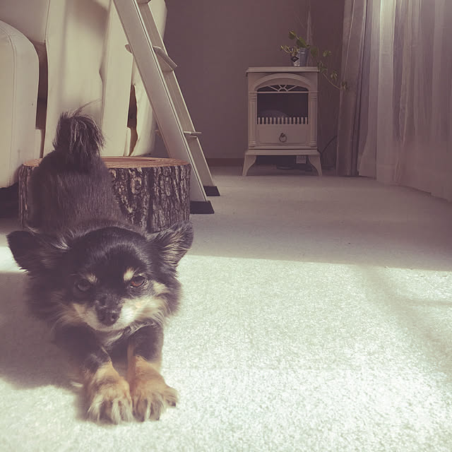 cocoさんの実例写真