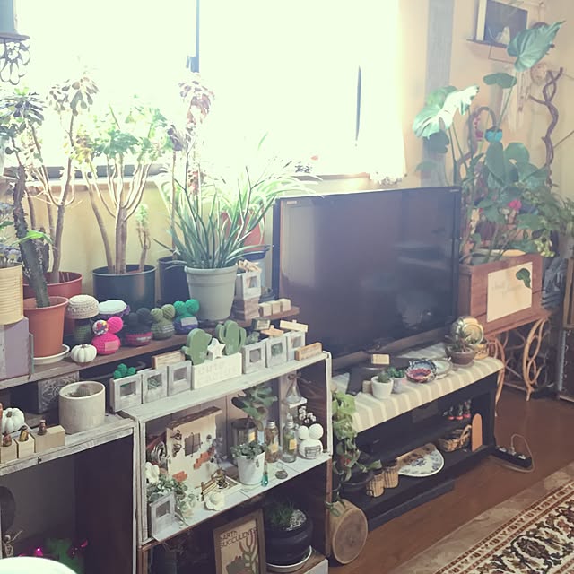 Norikoさんの実例写真