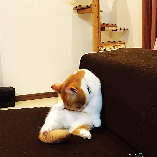 KotarouKunさんの実例写真