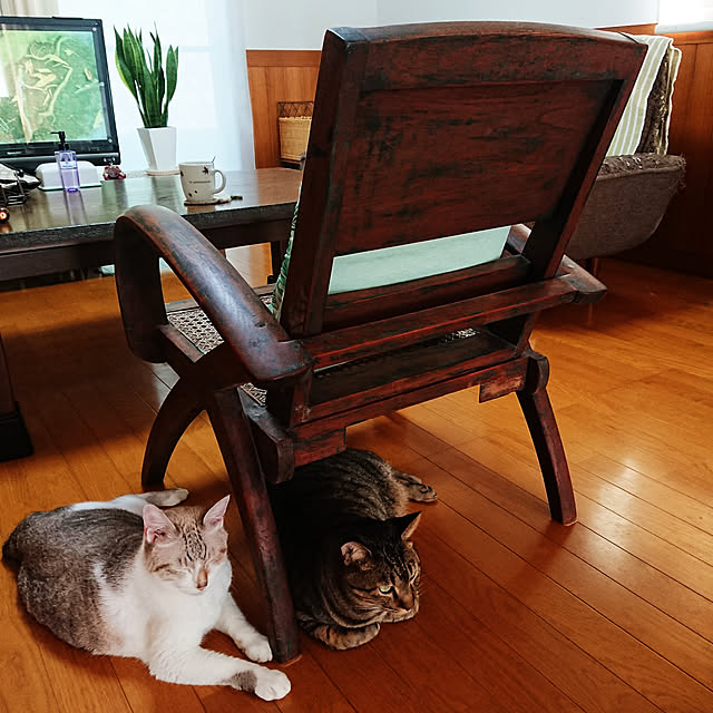 nachiさんの実例写真